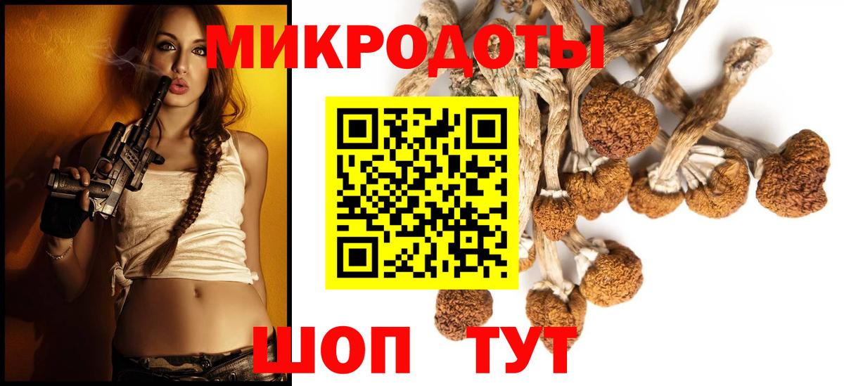 Шебекино  Псилоцибиновые грибы Magic Shrooms  Вход с VPN  Псилоцибиновые грибы мицелий 