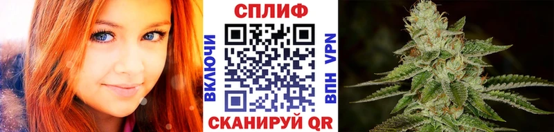 Марихуана THC 21%  цены наркотик  Шебекино 